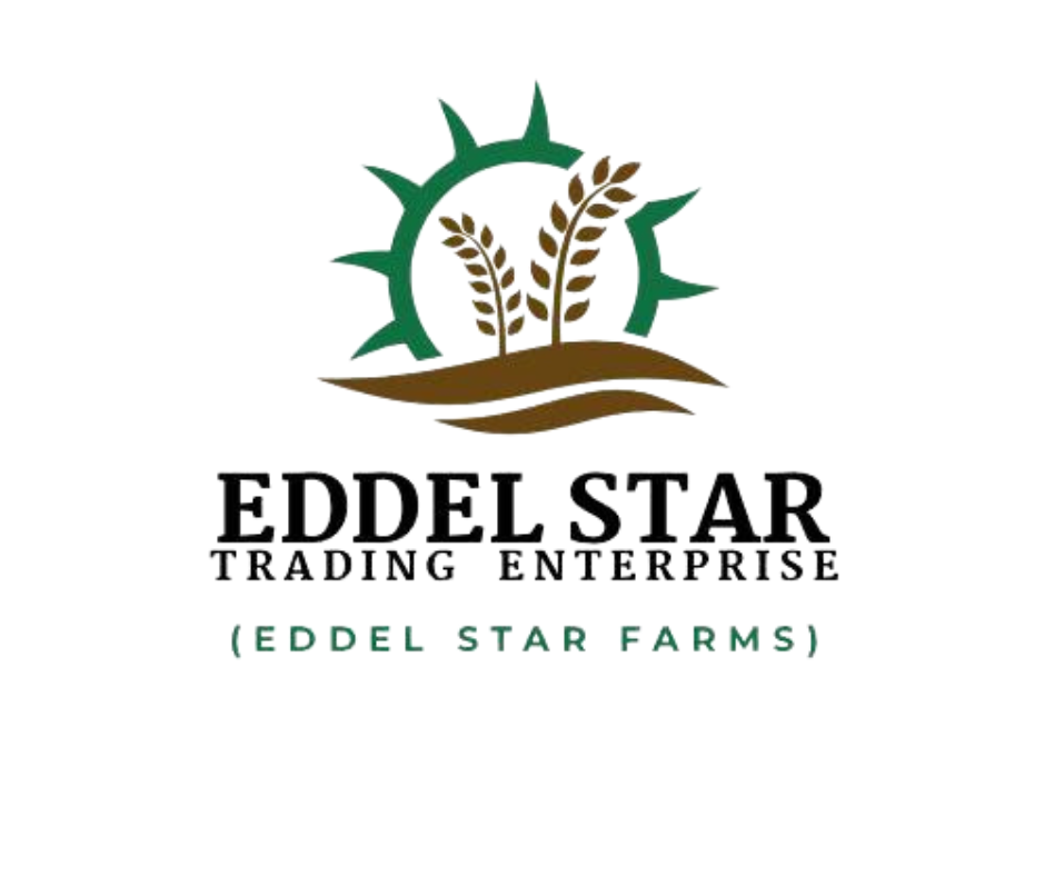 Eddelstar Trading Enterprise